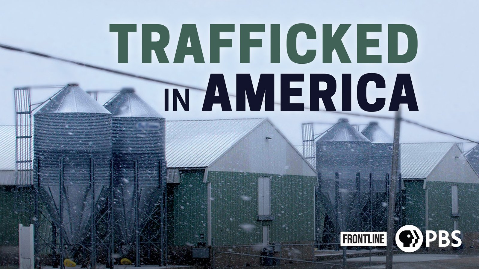 Trafficked in America