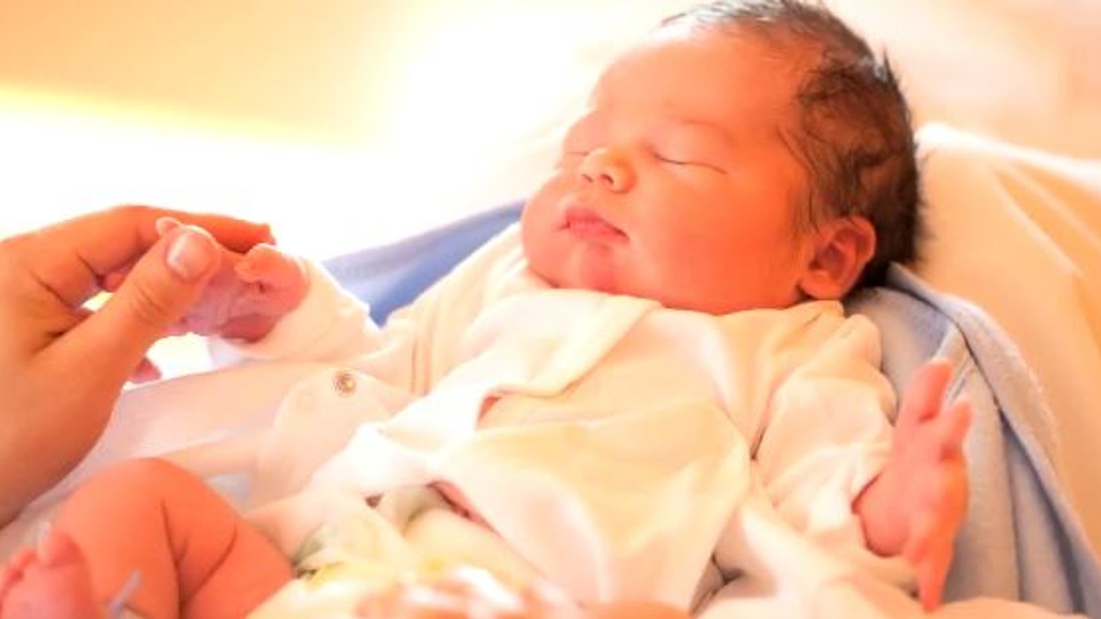 Understanding Childbirth: Beginnings of Life
