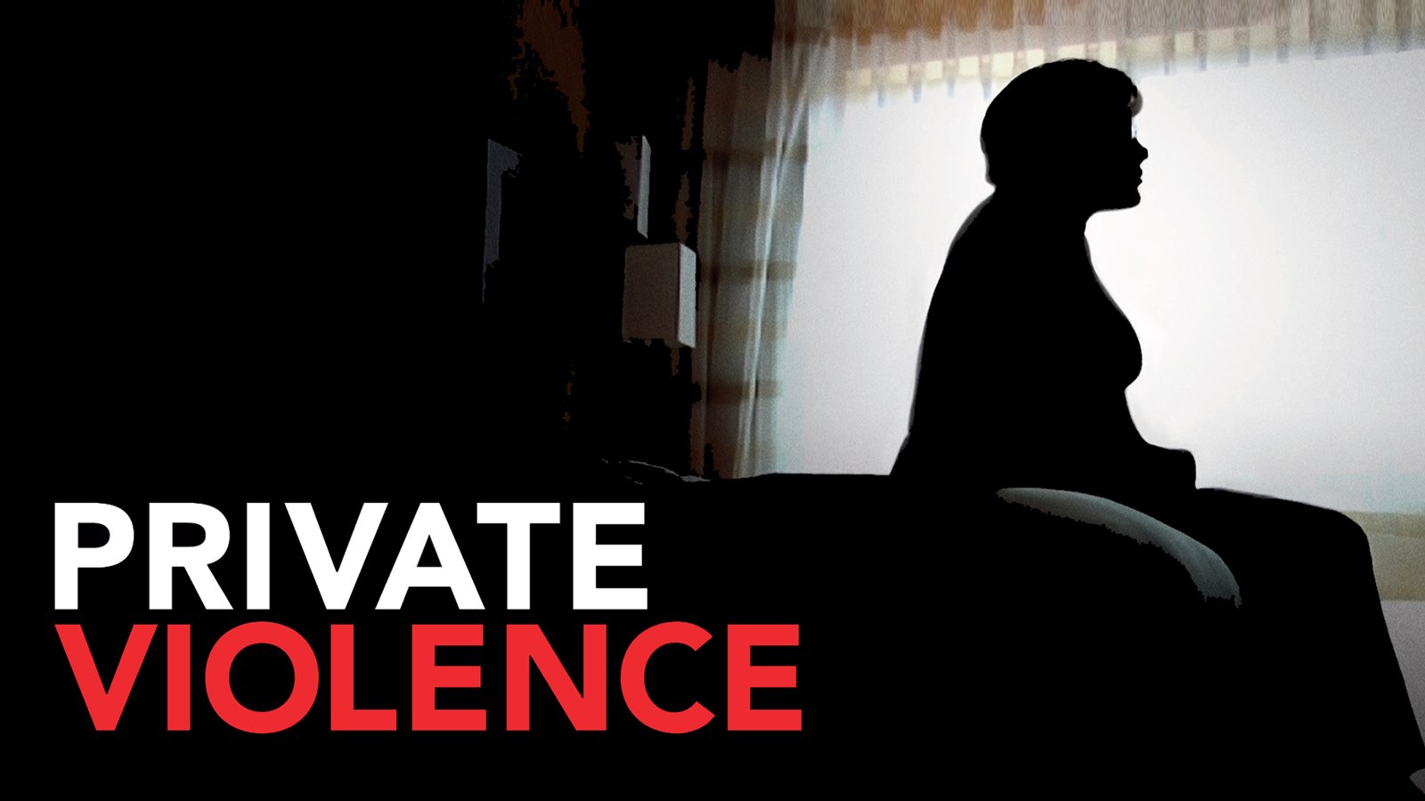 Private Violence - Domestic Violence Survivors