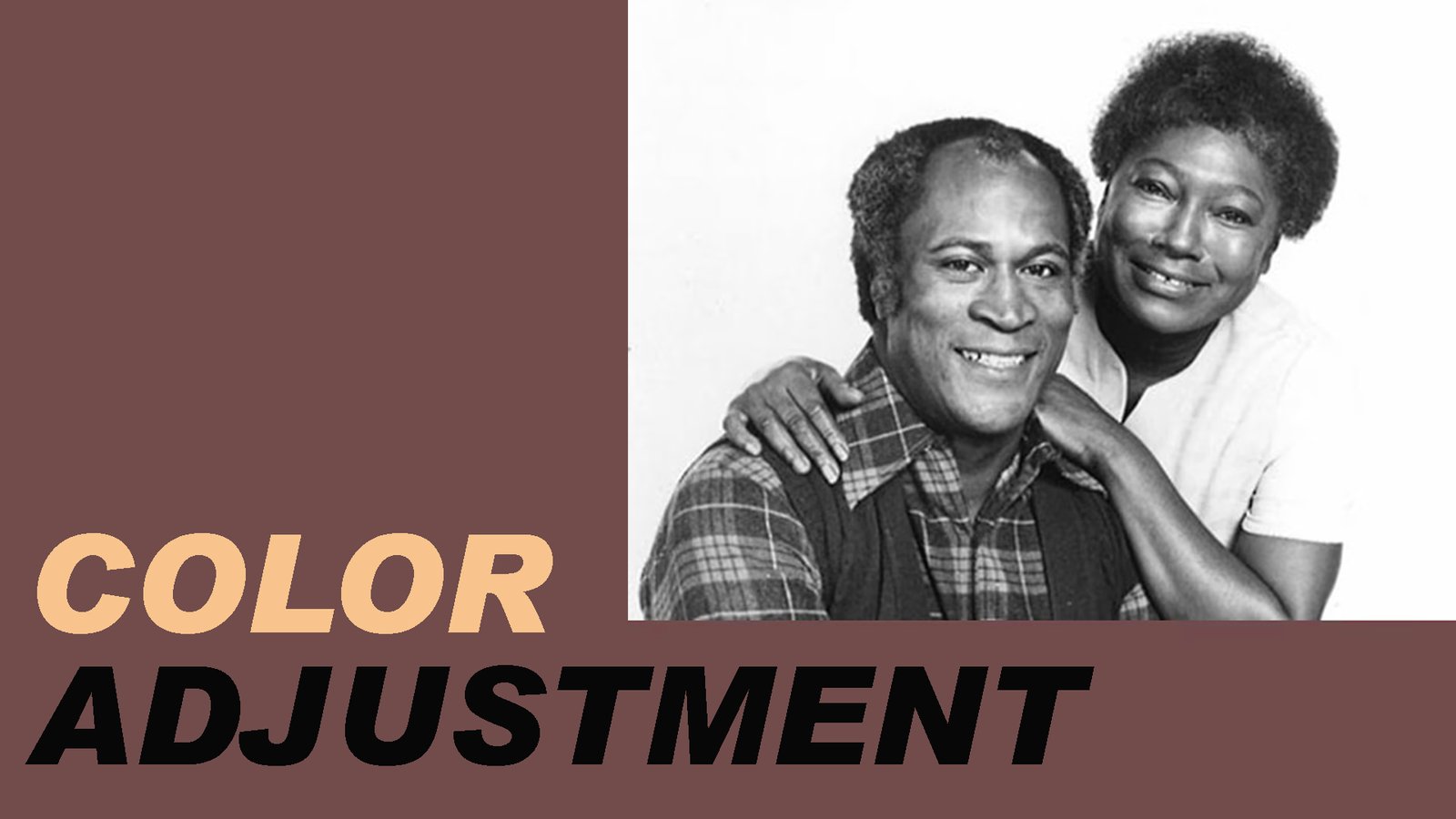 Color Adjustment - A History of African American Portrayal on Television