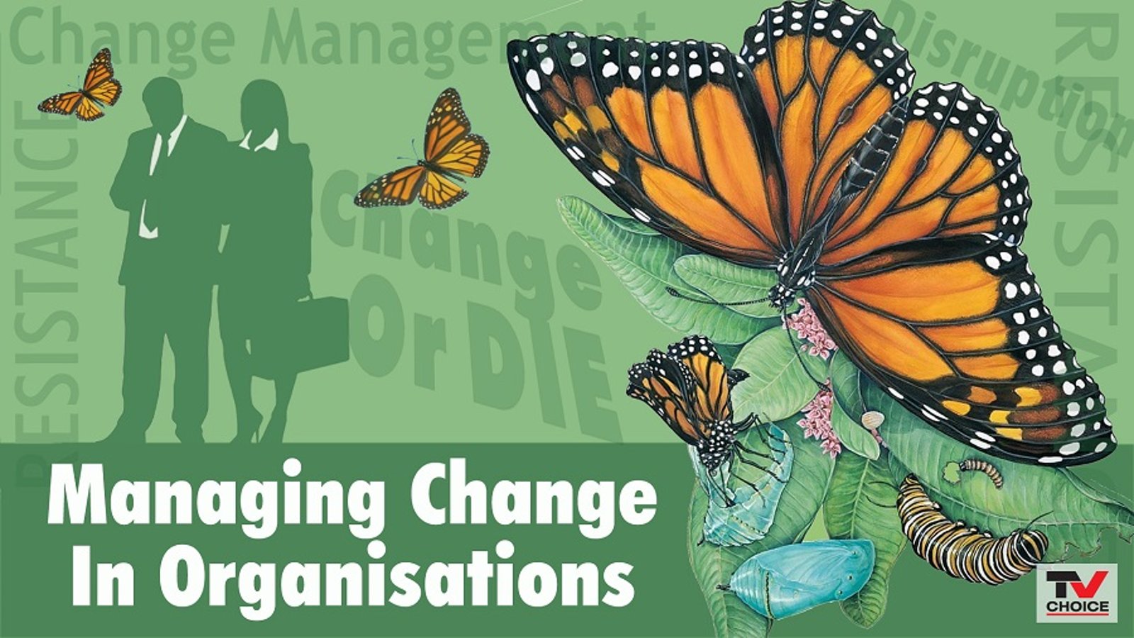 Managing Change In Organizations