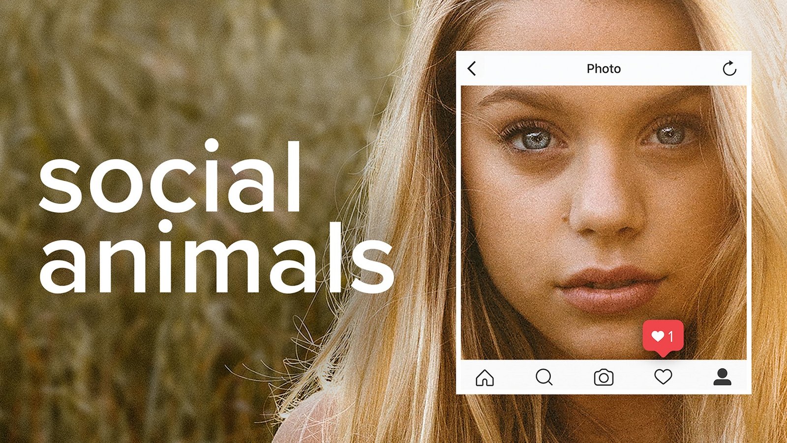 Social Animals - The Real and Digital Worlds of Today’s Teenagers