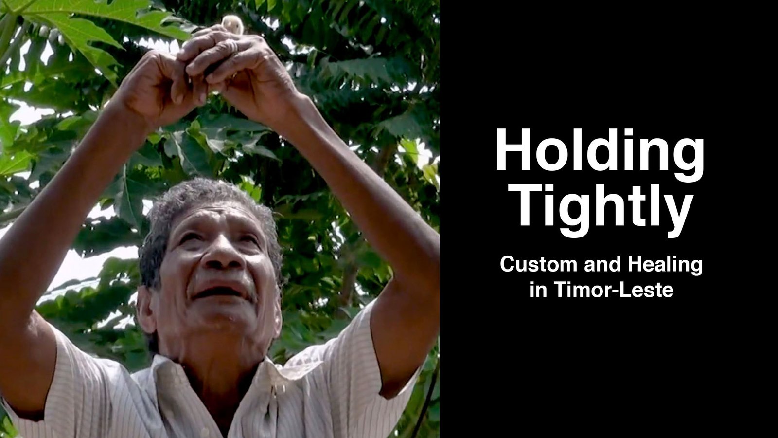 Holding Tightly: Custom and Healing in Timor-Leste