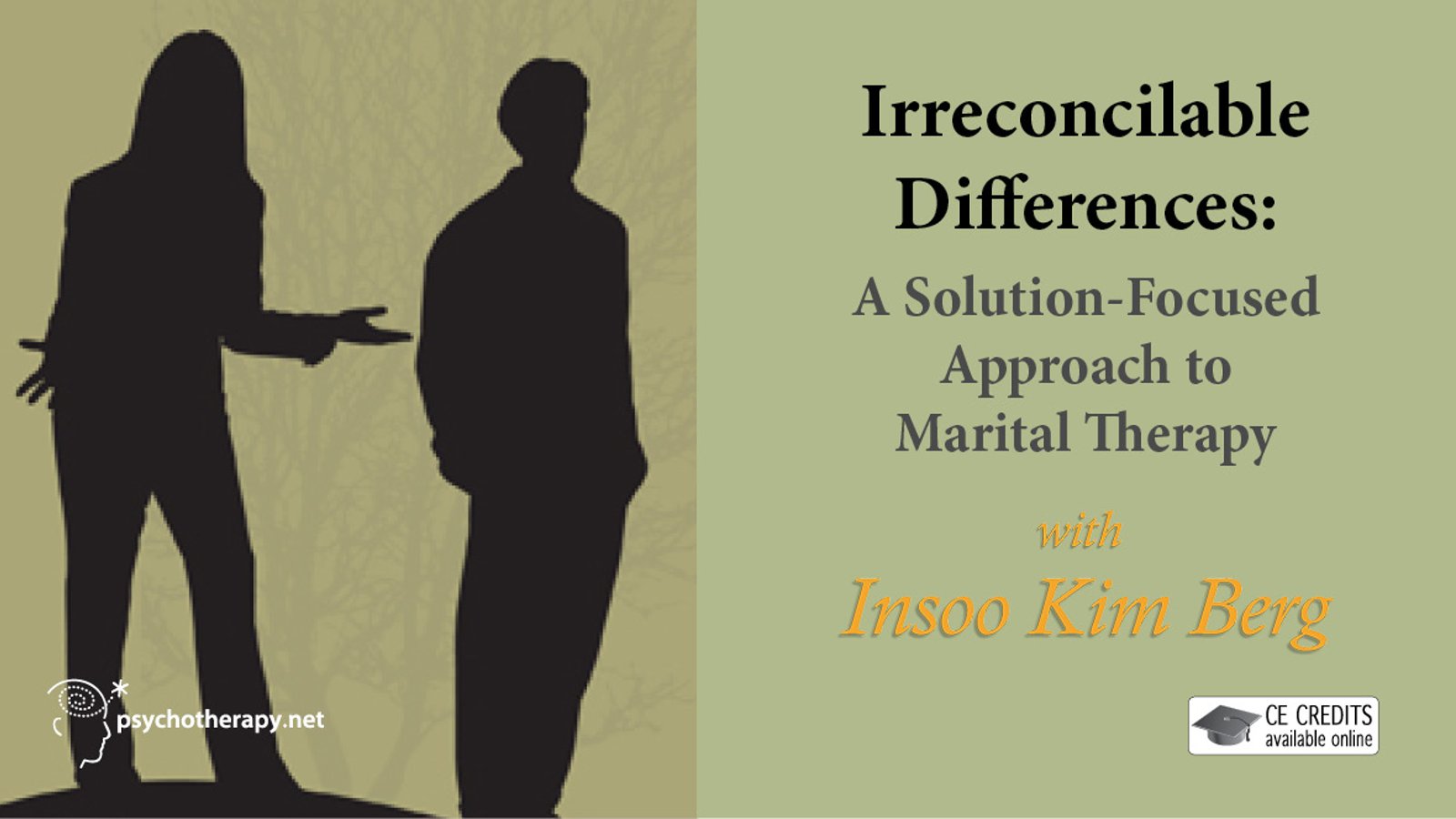Irreconcilable Differences - A Solution-Focused Approach to Marital Therapy with Insoo Kim Berg