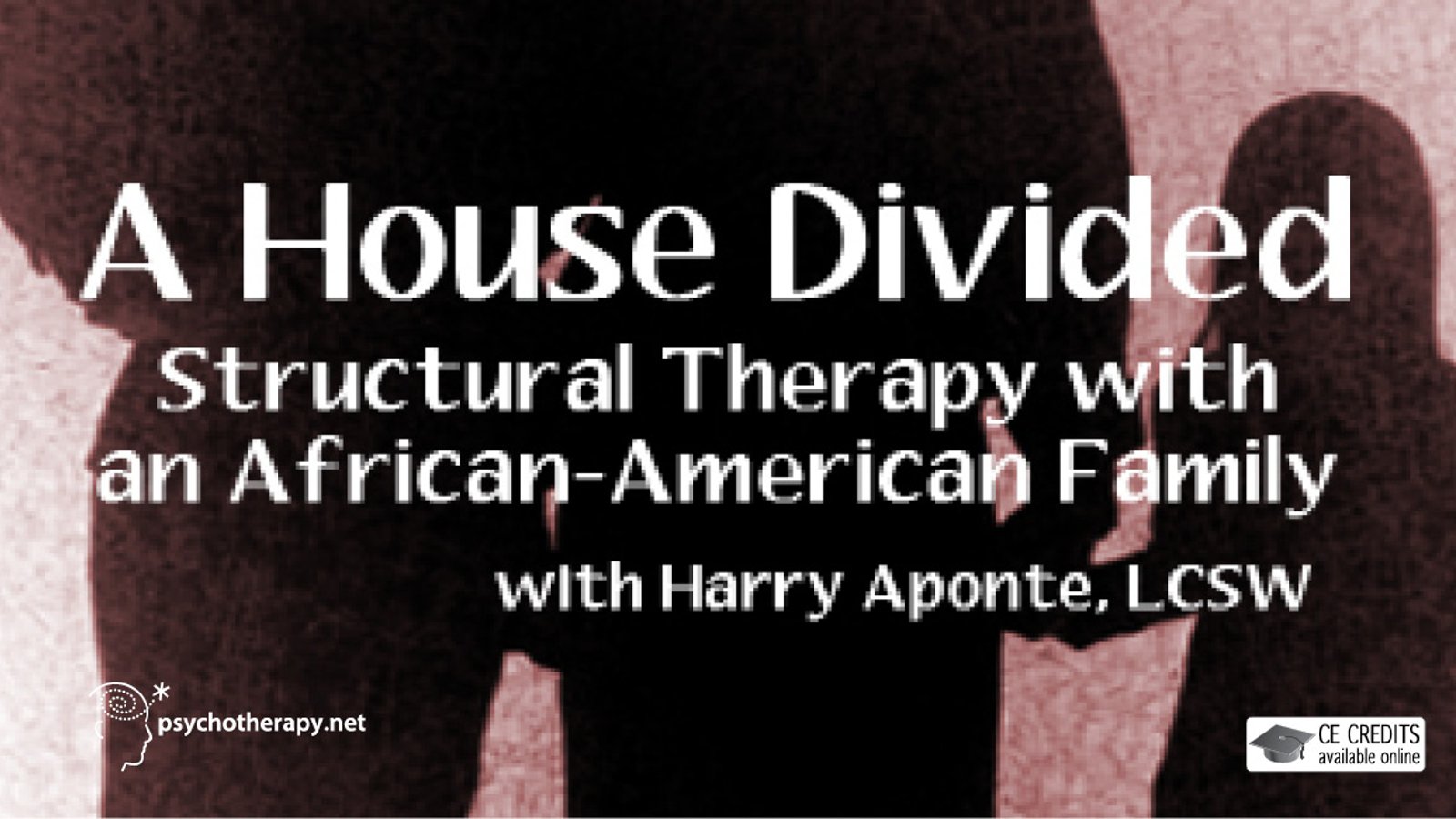 A House Divided - Structural Therapy with a Black Family with Harry Aponte