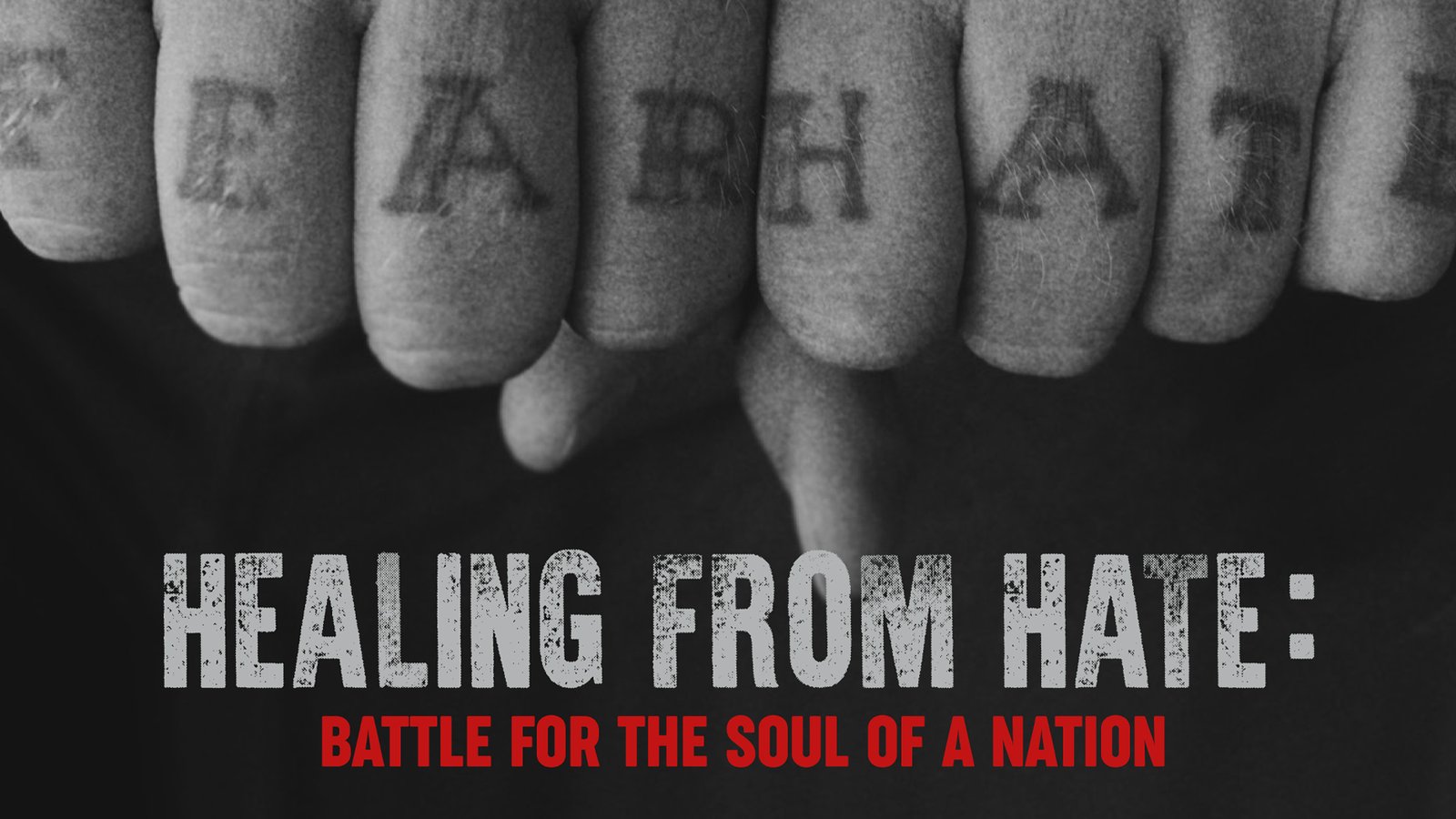 Healing From Hate - Battle for the Soul of a Nation