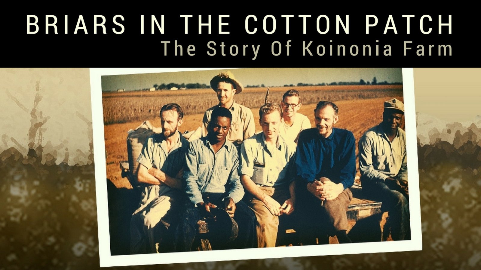 Briars in the Cotton Patch - Racism and Religion Collide in the Deep South