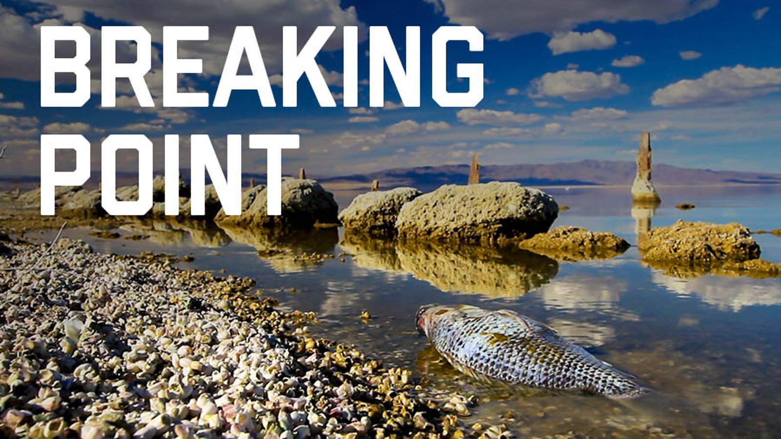 Breaking Point: The Disappearing Salton Sea