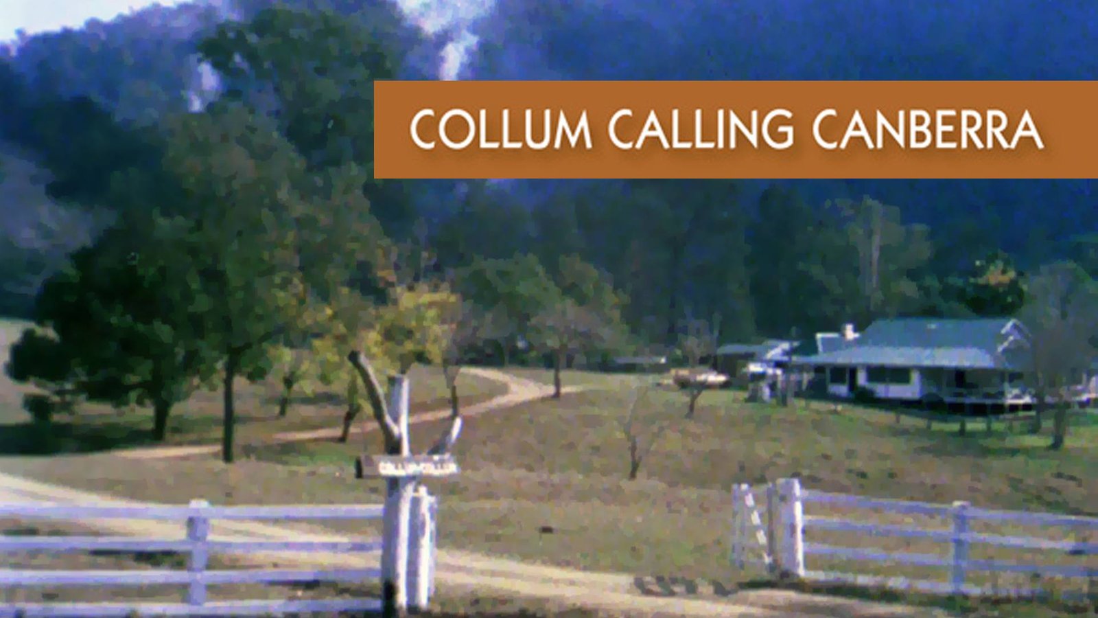Collum Calling Canberra
