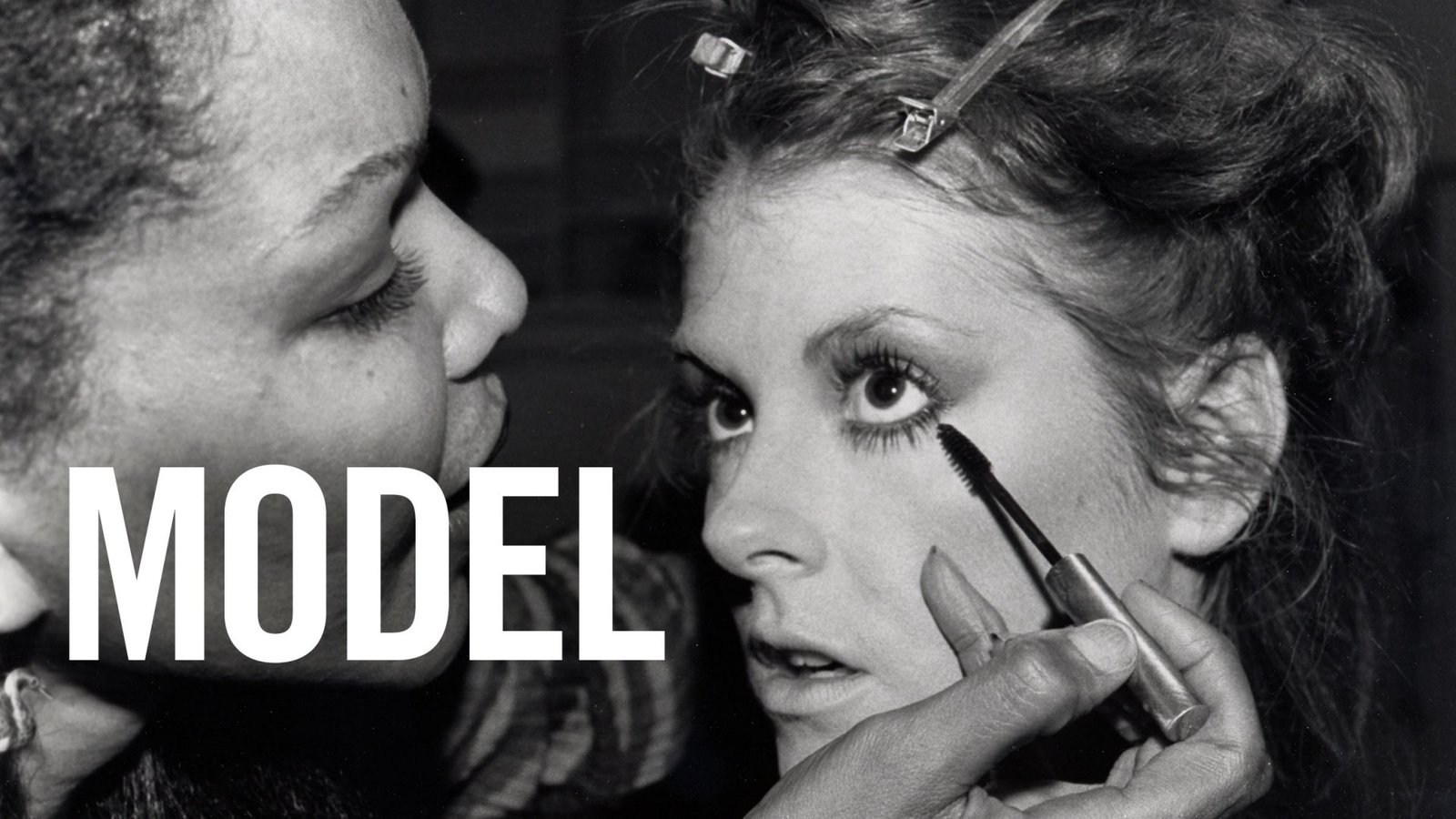 Model - An Inside Look of the Modeling Profession