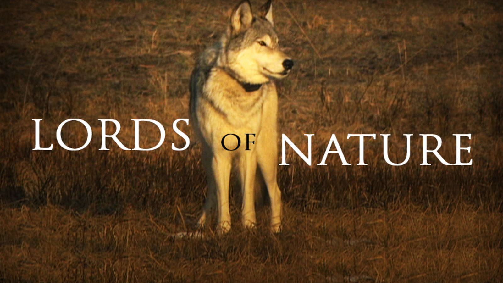 Lords of Nature
