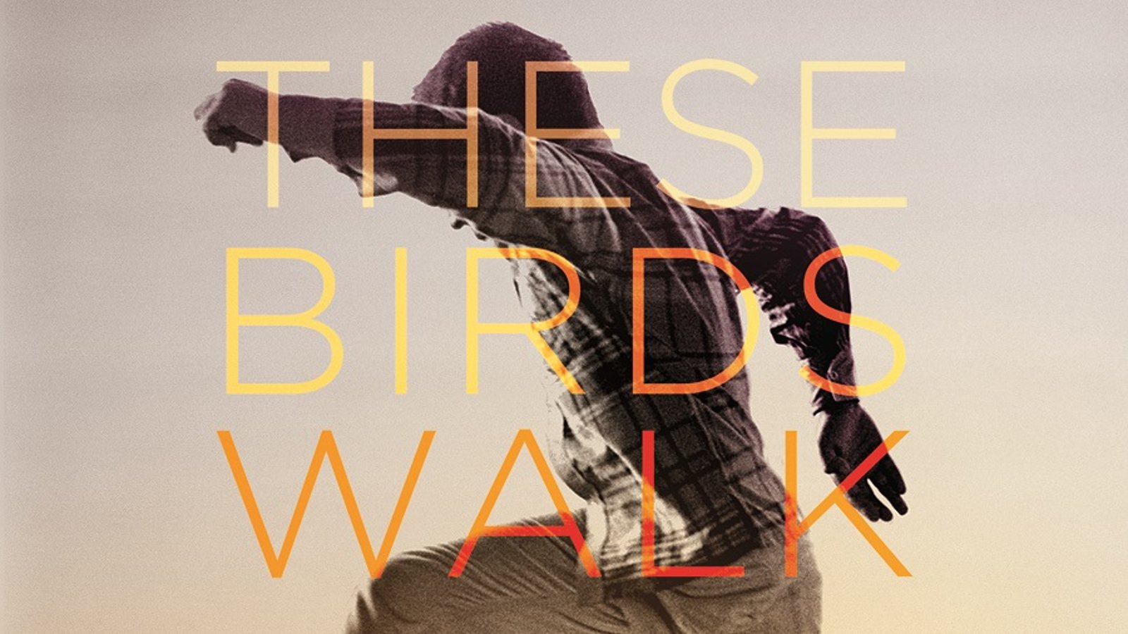 These Birds Walk - An Orphan Finds His Way Back Home