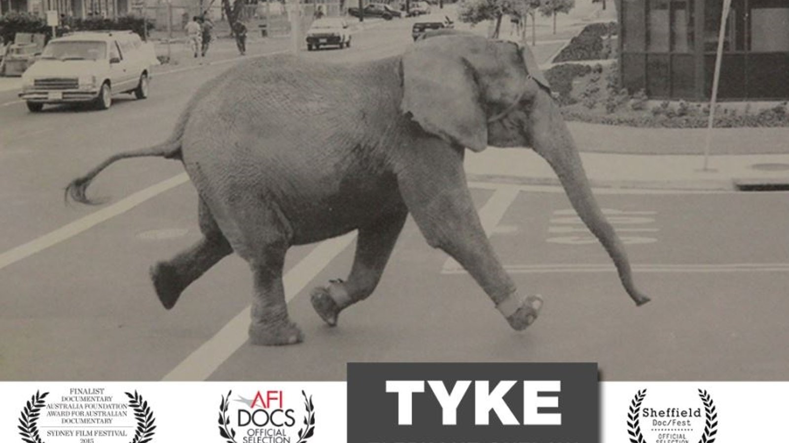 Tyke Elephant Outlaw - A Circus Elephant Who Made History