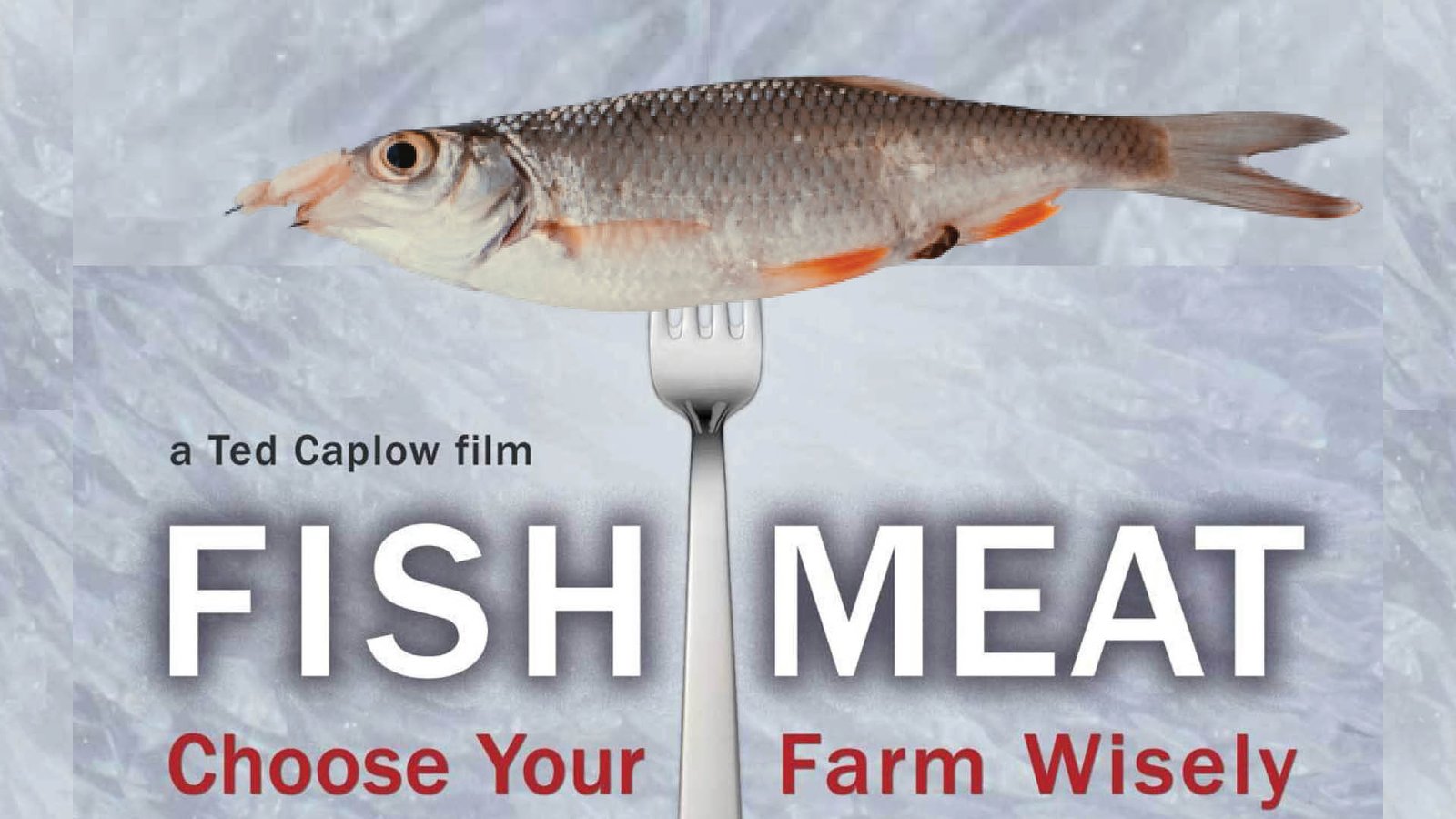 Fishmeat - Choose Your Farm Wisely