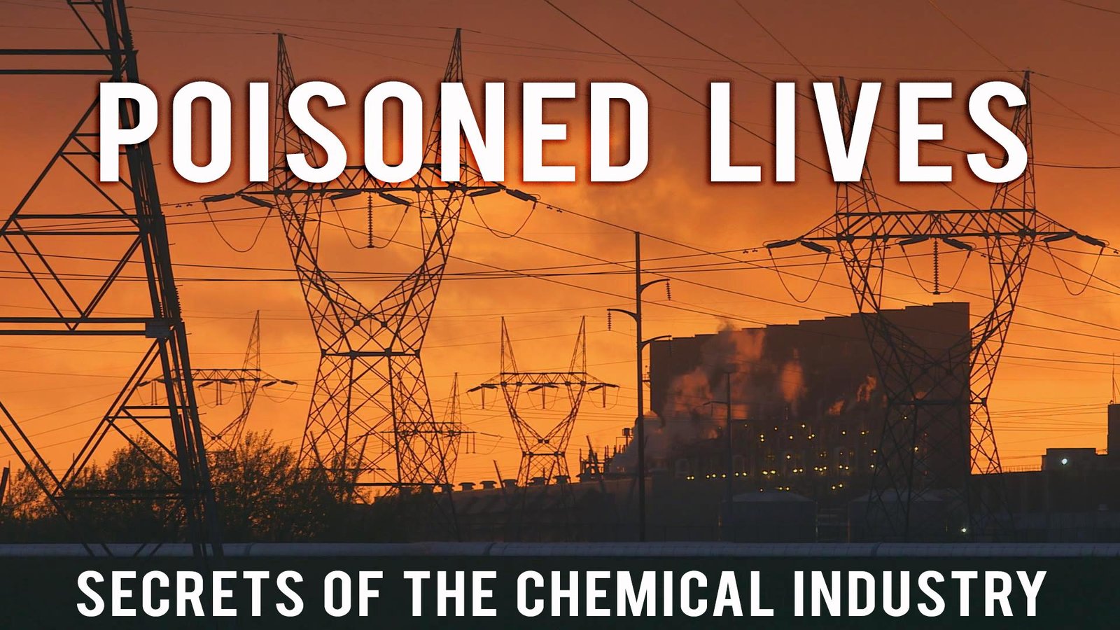 Poisoned Lives: Secrets of the Chemical Industry - N.A