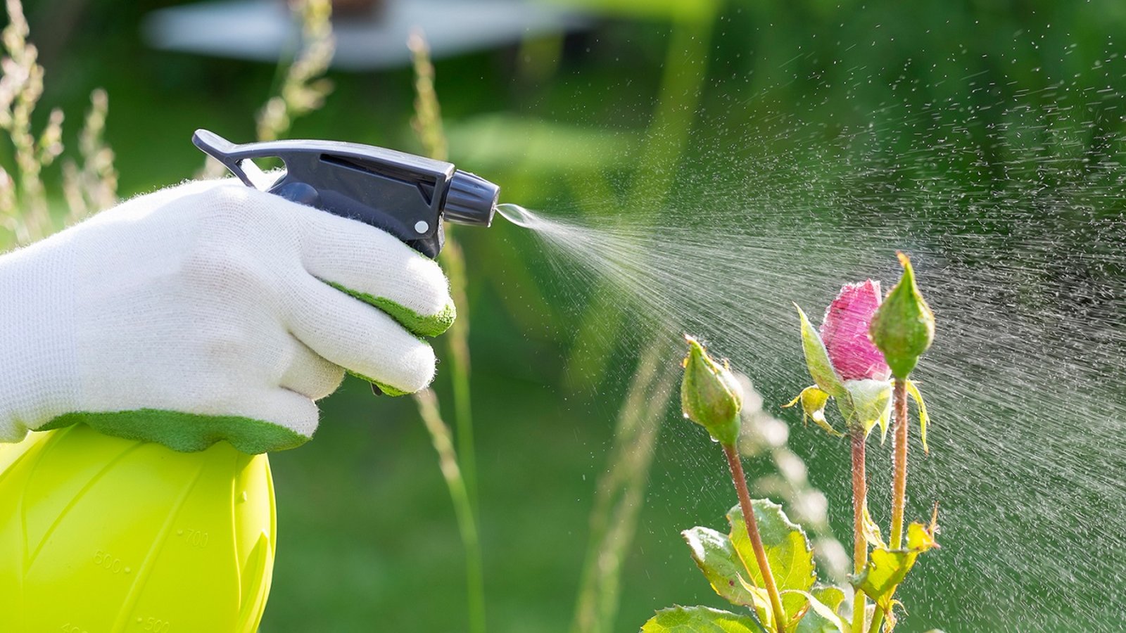 Understanding Pesticides