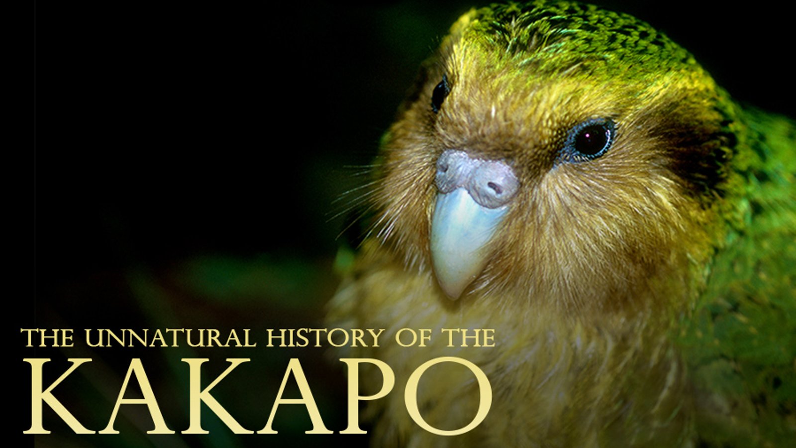 The Unnatural History of the Kakapo