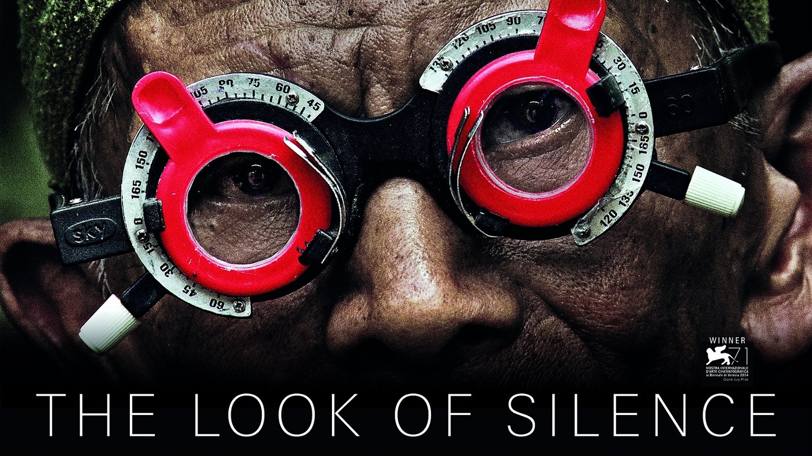 The Look of Silence - An Indonesian Man Confronts the Men Who Killed his Brother