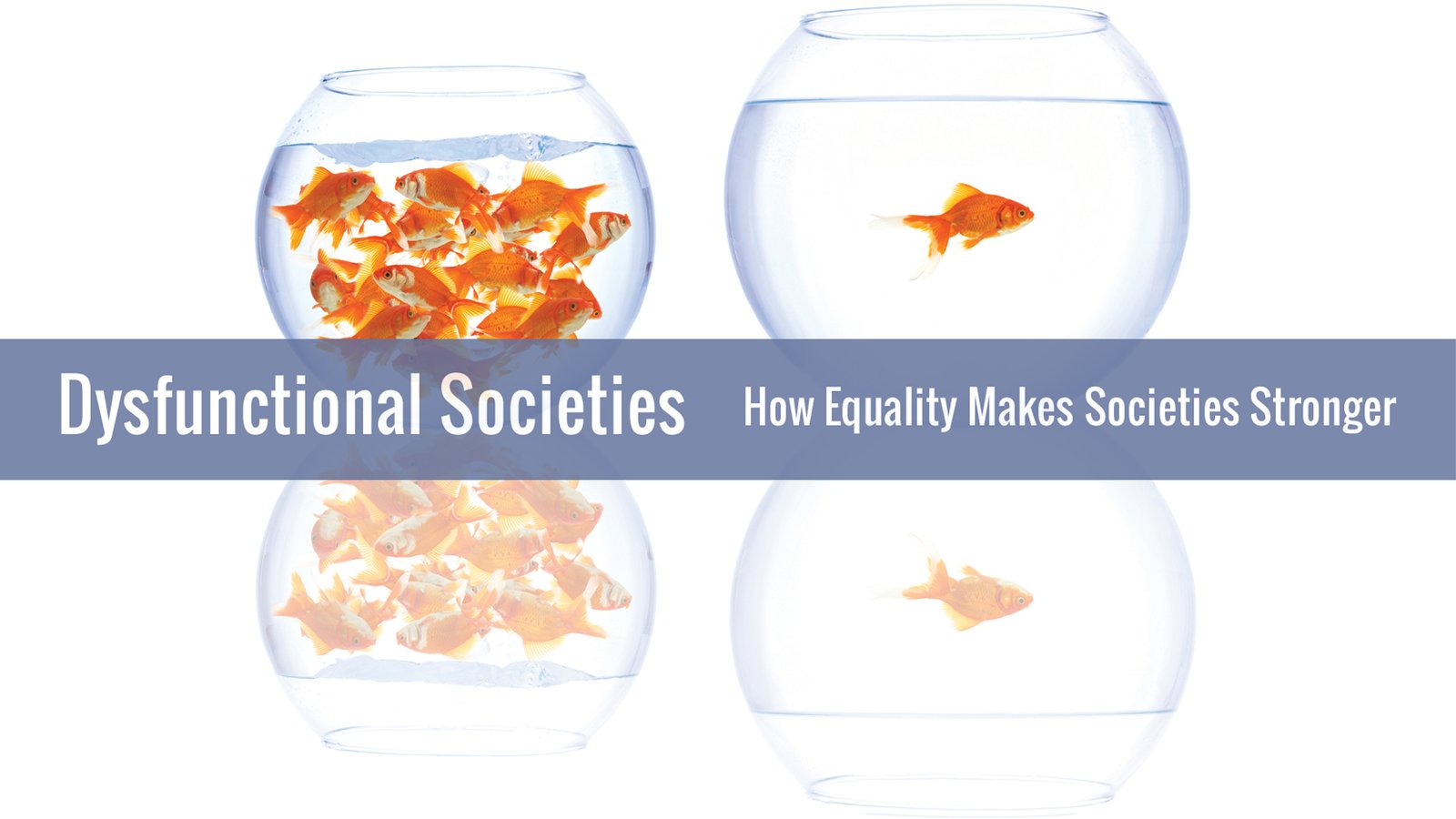 Dysfunctional Societies - How Equality Makes Societies Stronger