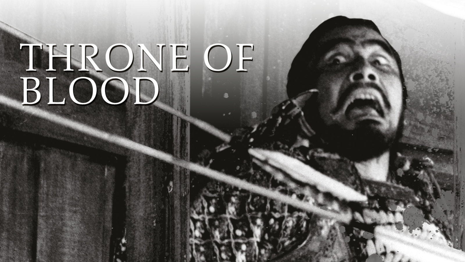 Throne Of Blood Kanopy