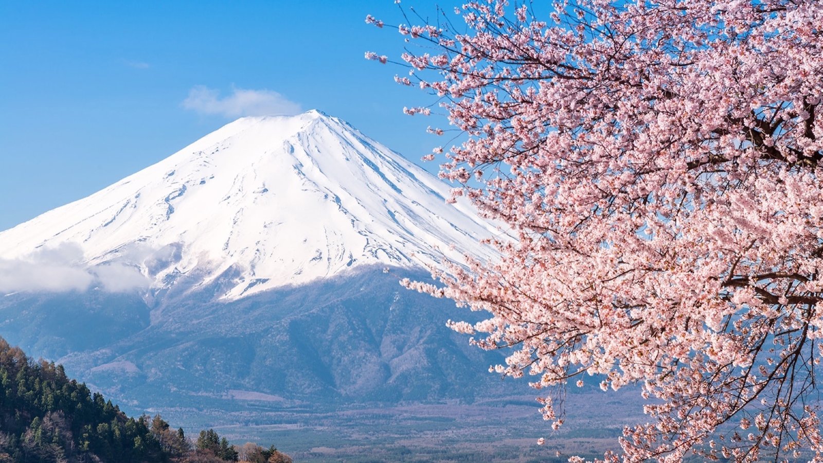 3 Major Geographic Features Of Japan