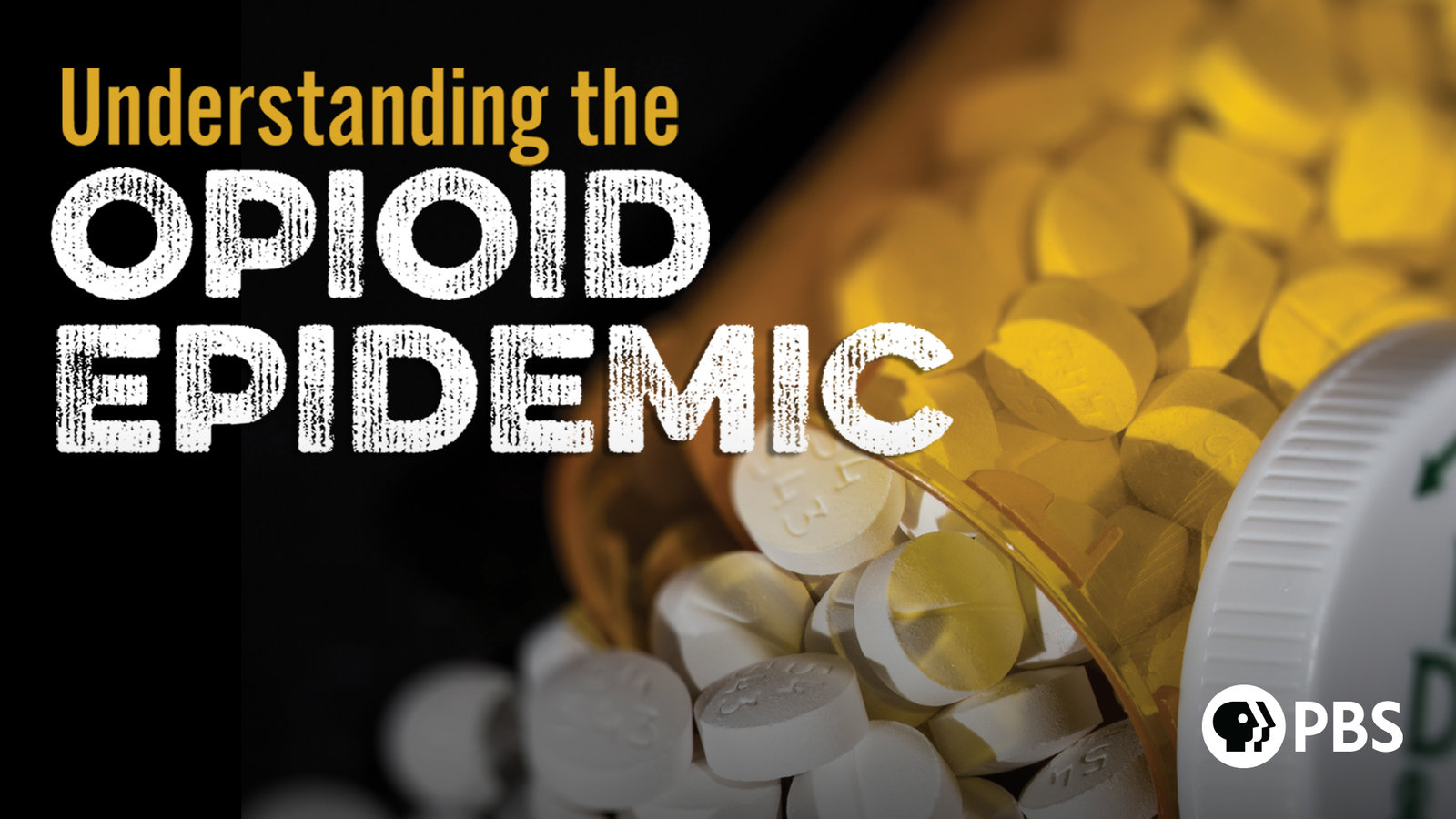 Understanding The Opioid Epidemic | Kanopy