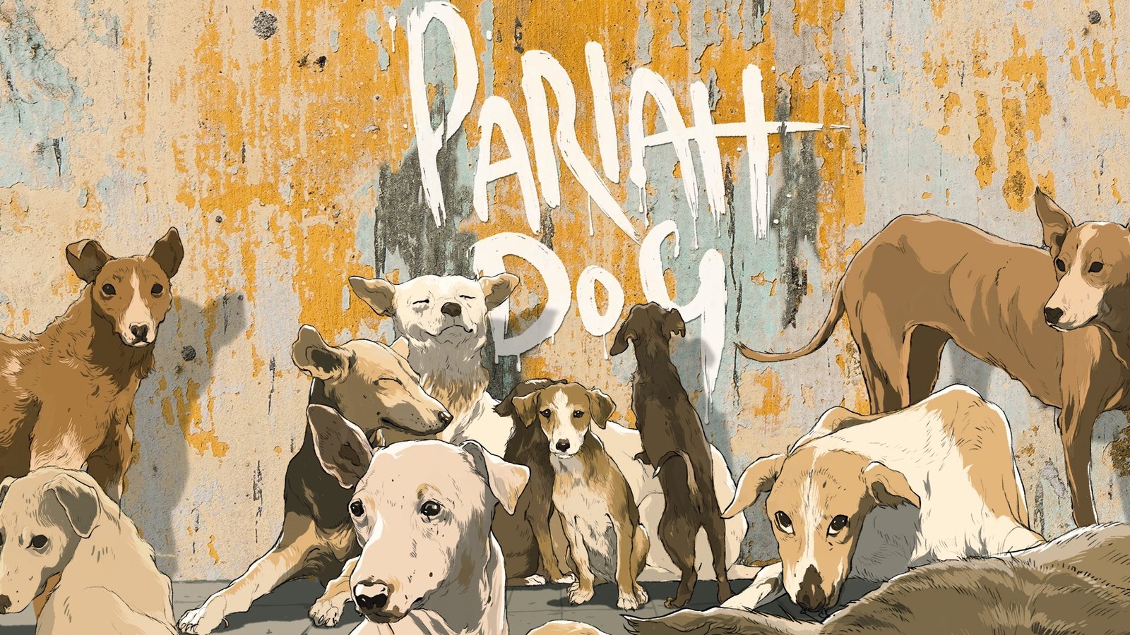 pariah-dog-kanopy