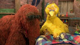 Sesame Street: Season 39 | Kanopy